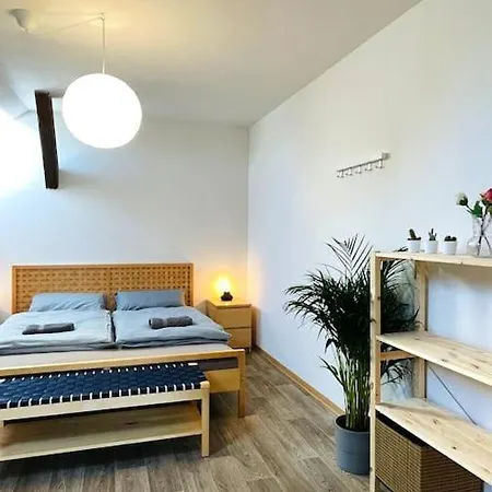 P6 - Familienwohnung Am Park Und Saale Appartement