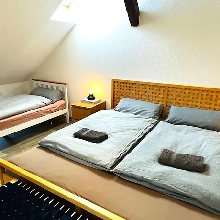 Appartement P6 - Familienwohnung Am Park Und Saale Halle (Saale)