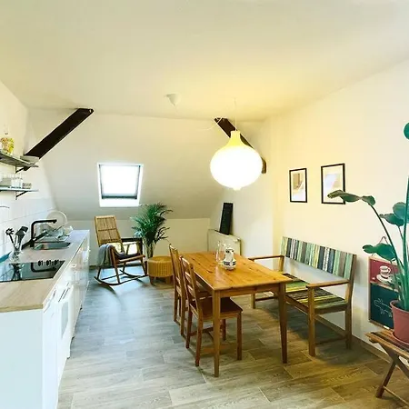 P6 - Familienwohnung Am Park Und Saale *