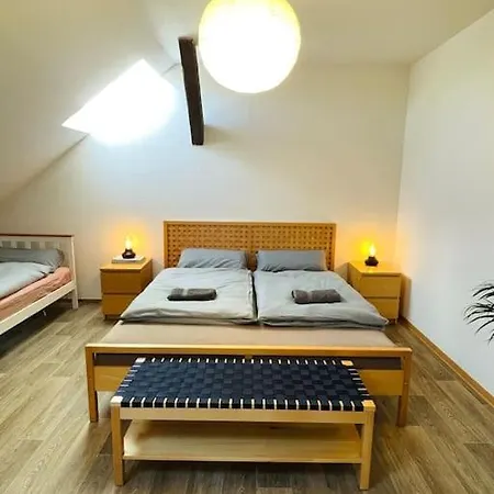 Appartement P6 - Familienwohnung Am Park Und Saale *