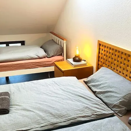 P6 - Familienwohnung Am Park Und Saale