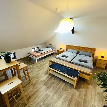 P6 - Familienwohnung Am Park Und Saale Appartement