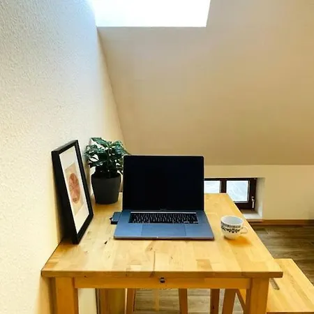 P6 - Familienwohnung Am Park Und Saale Halle (Saale)