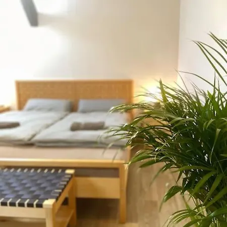 P6 - Familienwohnung Am Park Und Saale *