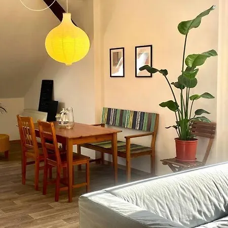 P6 - Familienwohnung Am Park Und Saale Appartement
