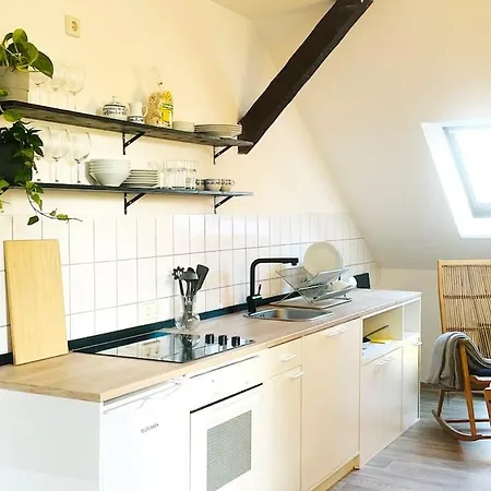 P6 - Familienwohnung Am Park Und Saale * Halle (Saale)