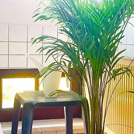 P6 - Familienwohnung Am Park Und Saale Halle (Saale)