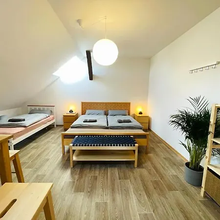 P6 - Familienwohnung Am Park Und Saale Appartement *