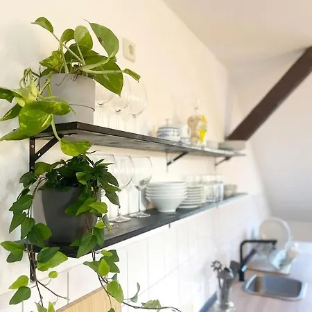 P6 - Familienwohnung Am Park Und Saale Appartement Halle (Saale)