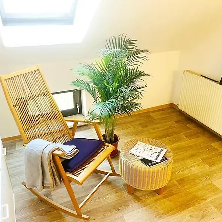 P6 - Familienwohnung Am Park Und Saale Галль