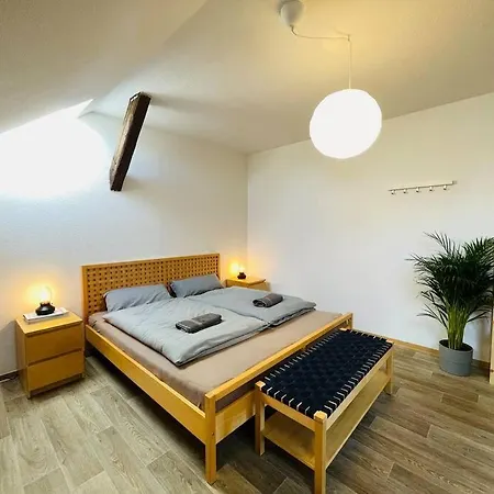 P6 - Familienwohnung Am Park Und Saale