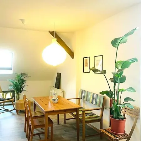 P6 - Familienwohnung Am Park Und Saale *