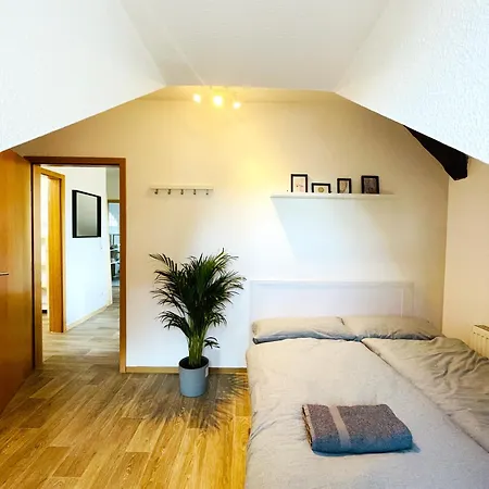 P6 - Familienwohnung Am Park Und Saale * Halle (Saale)