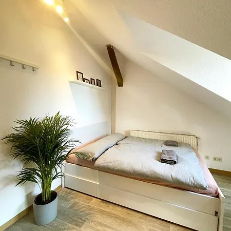 P6 - Familienwohnung Am Park Und Saale Appartement Halle (Saale)