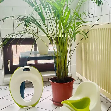 Appartement P6 - Familienwohnung Am Park Und Saale Halle (Saale)