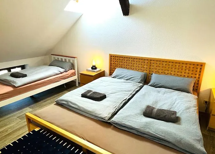 Апартаменты P6 - Familienwohnung Am Park Und Saale Галль