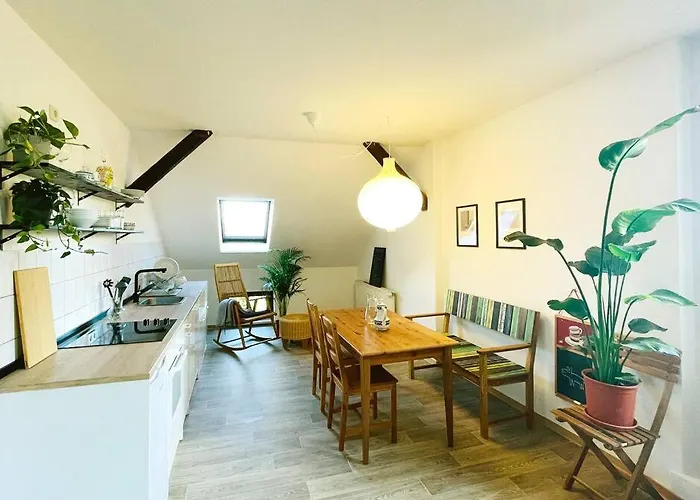 P6 - Familienwohnung Am Park Und Saale *