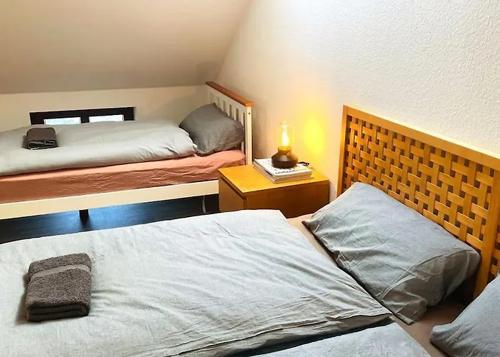 P6 - Familienwohnung Am Park Und Saale