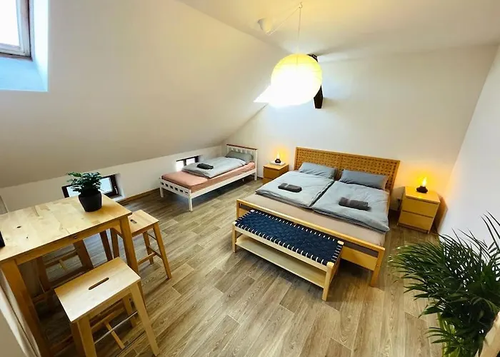 P6 - Familienwohnung Am Park Und Saale アパート