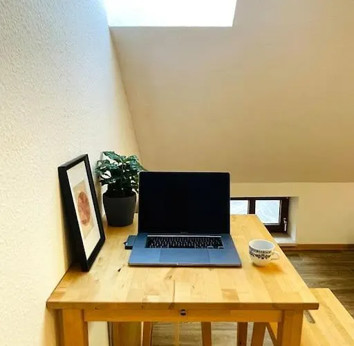 P6 - Familienwohnung Am Park Und Saale Halle (Saale)