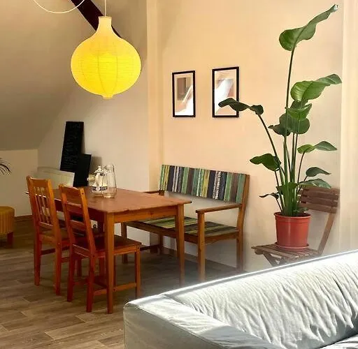 P6 - Familienwohnung Am Park Und Saale アパート