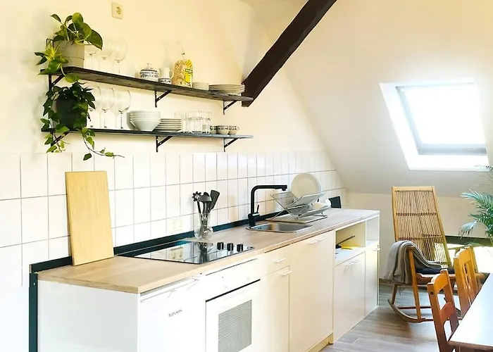 P6 - Familienwohnung Am Park Und Saale * Halle (Saale)