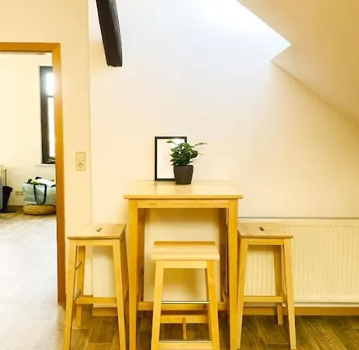 Apartamento P6 - Familienwohnung Am Park Und Saale Halle (Saale)