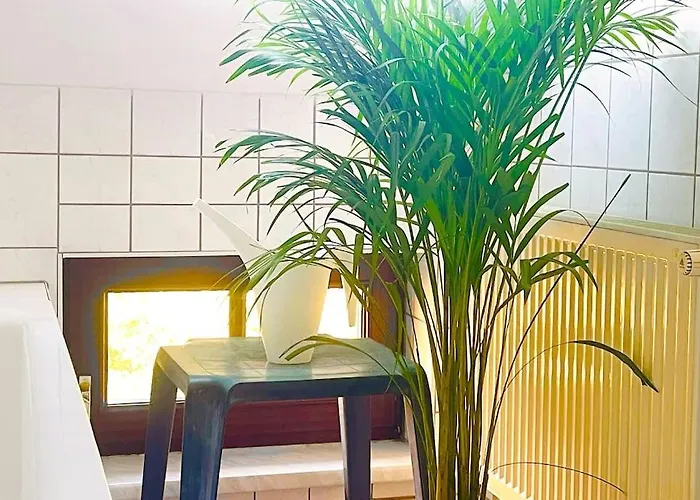 P6 - Familienwohnung Am Park Und Saale Halle (Saale)