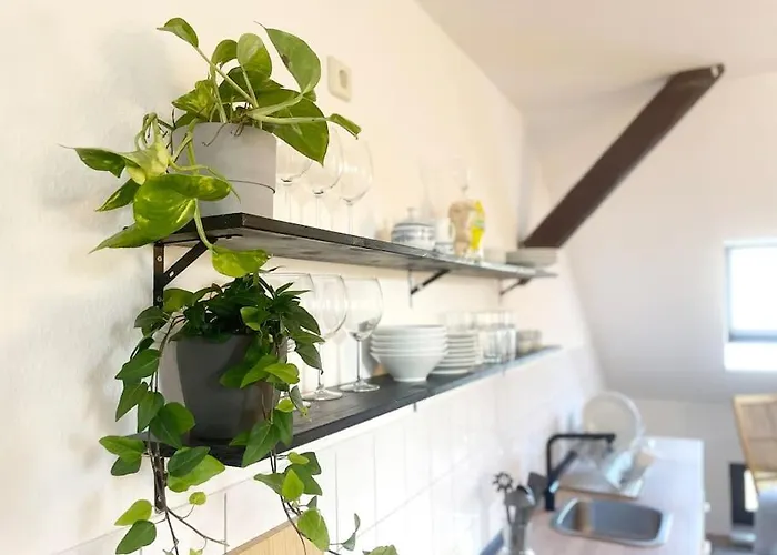 P6 - Familienwohnung Am Park Und Saale Apartamento Halle (Saale)