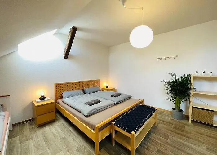 P6 - Familienwohnung Am Park Und Saale