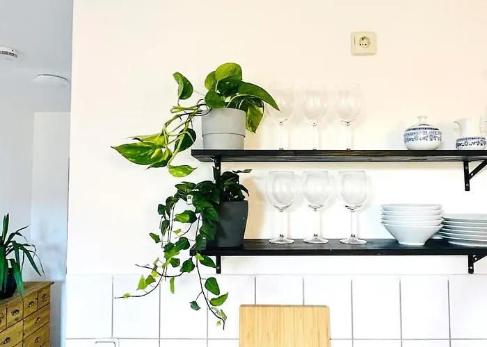 Apartamento P6 - Familienwohnung Am Park Und Saale