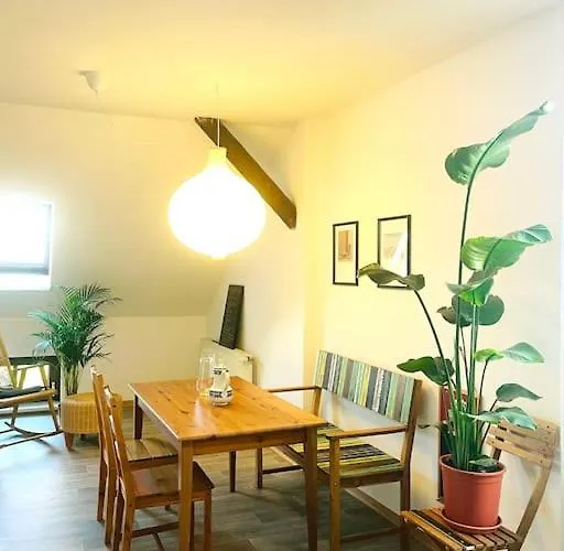 P6 - Familienwohnung Am Park Und Saale *