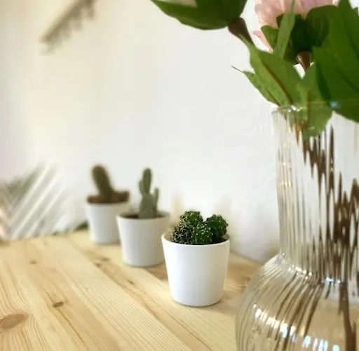 P6 - Familienwohnung Am Park Und Saale * ハレ