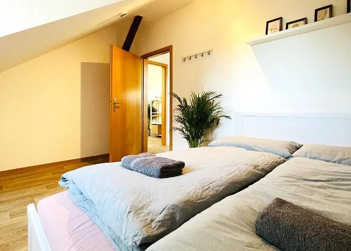 P6 - Familienwohnung Am Park Und Saale アパート