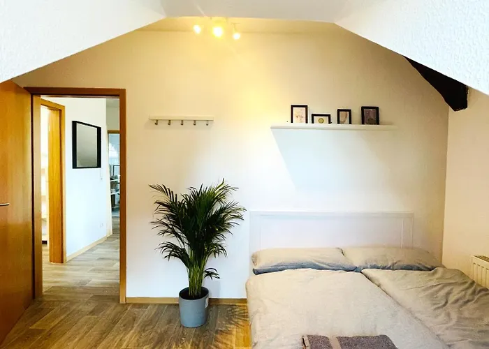 P6 - Familienwohnung Am Park Und Saale * Halle (Saale)