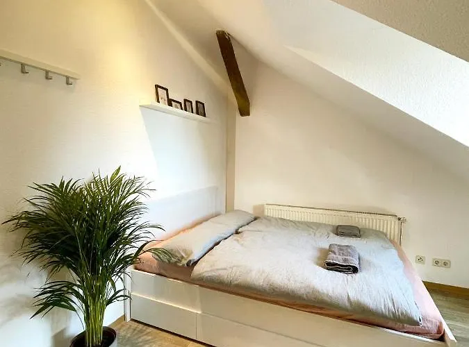 P6 - Familienwohnung Am Park Und Saale Apartamento Halle (Saale)