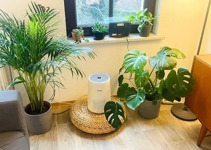 P6 - Familienwohnung Am Park Und Saale Apartamento