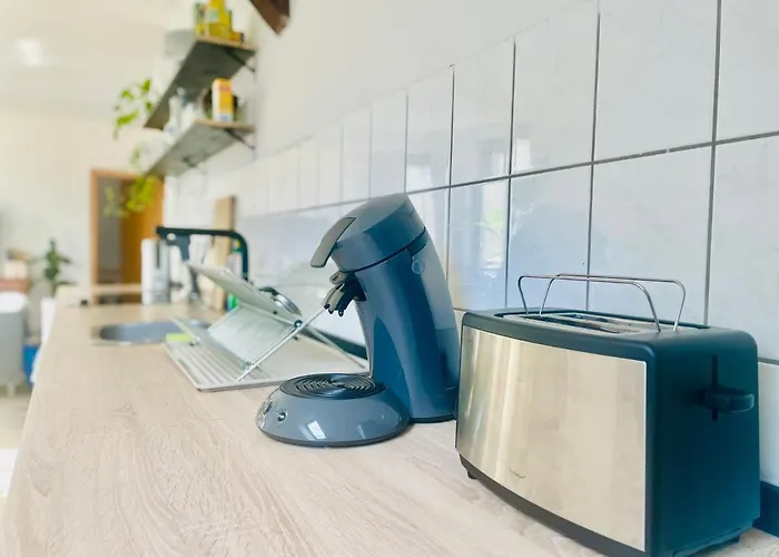 P6 - Familienwohnung Am Park Und Saale * Halle (Saale)