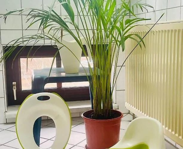 Apartamento P6 - Familienwohnung Am Park Und Saale Halle (Saale)