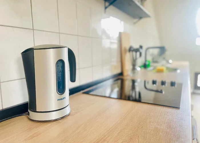 P6 - Familienwohnung Am Park Und Saale ハレ